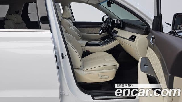 Hyundai 팰리세이드 - Опции