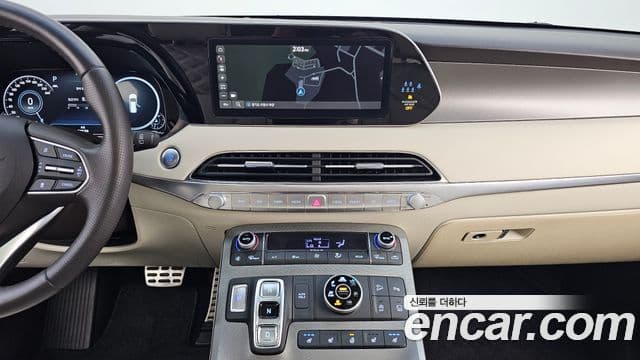 Hyundai 팰리세이드 - Опции