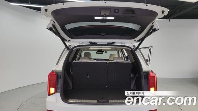 Hyundai 팰리세이드 - Опции