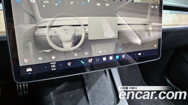 Tesla 모델 3 - Опции