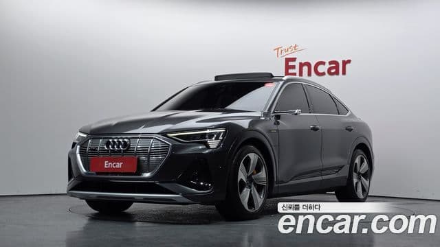 Audi e-트론 - Экстерьер