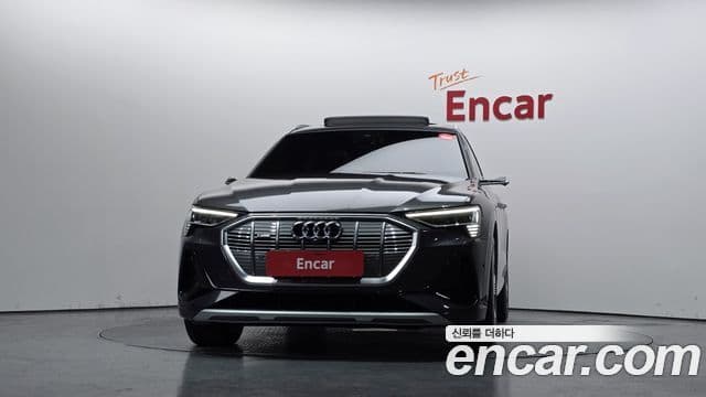 Audi e-트론 - Экстерьер