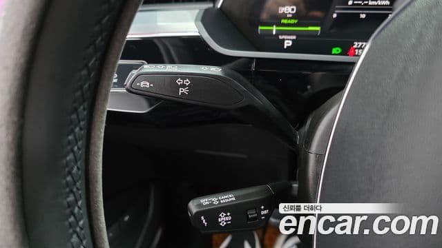 Audi e-트론 - Опции