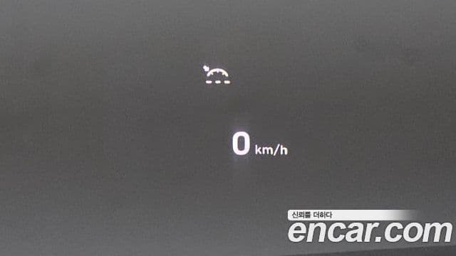 Hyundai 팰리세이드 - Опции