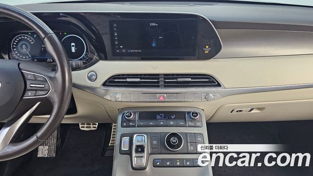 Hyundai 팰리세이드 - Опции