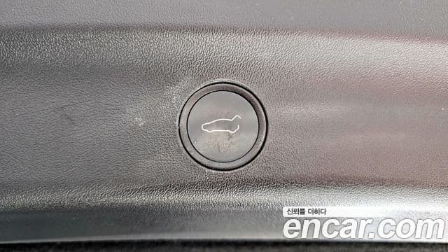 Tesla 모델 Y - Опции