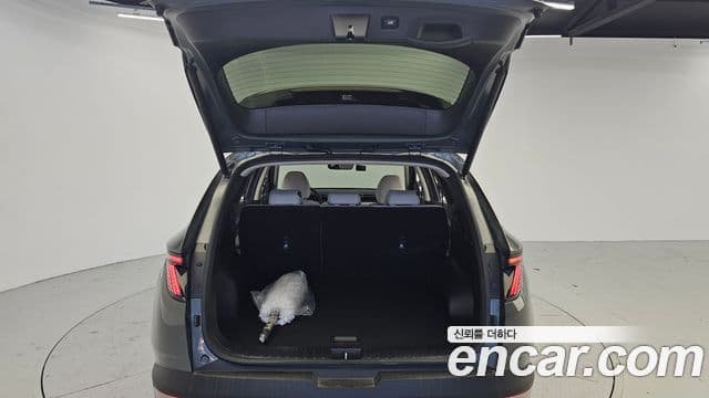 Hyundai 투싼 하이브리드 (NX4) - Опции