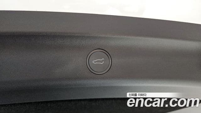 Tesla 모델 Y - Опции