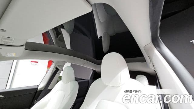 Tesla 모델 Y - Опции