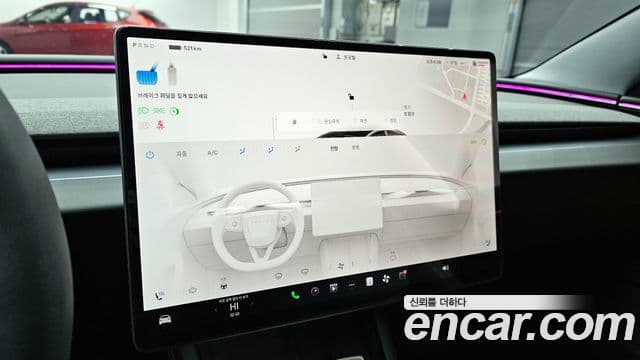 Tesla 모델 3 - Опции