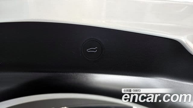 Tesla 모델 3 - Опции