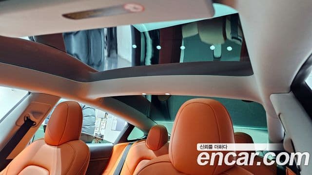 Tesla 모델 3 - Опции